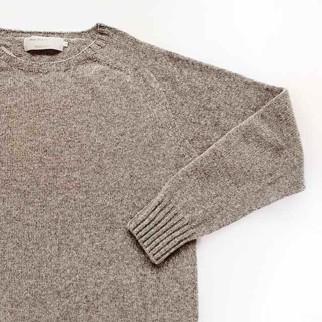 Modele Paticuliar ARMEN