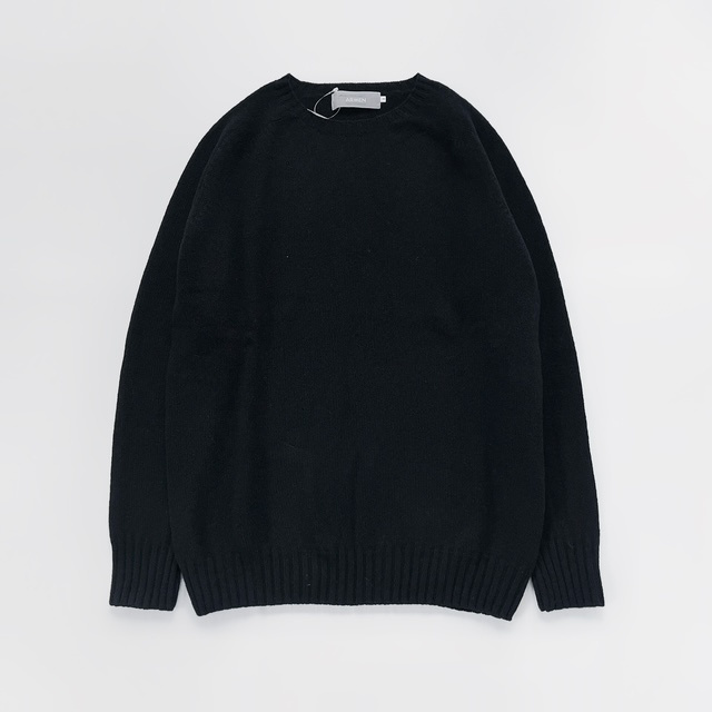 Modele Paticuliar ARMEN