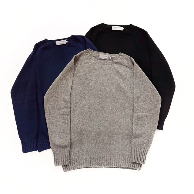 Modele Paticuliar ARMEN