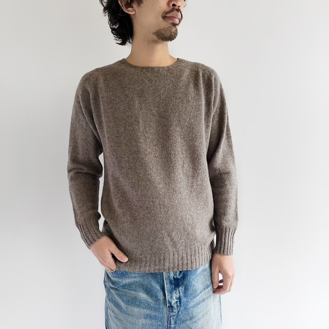 Modele Paticuliar ARMEN