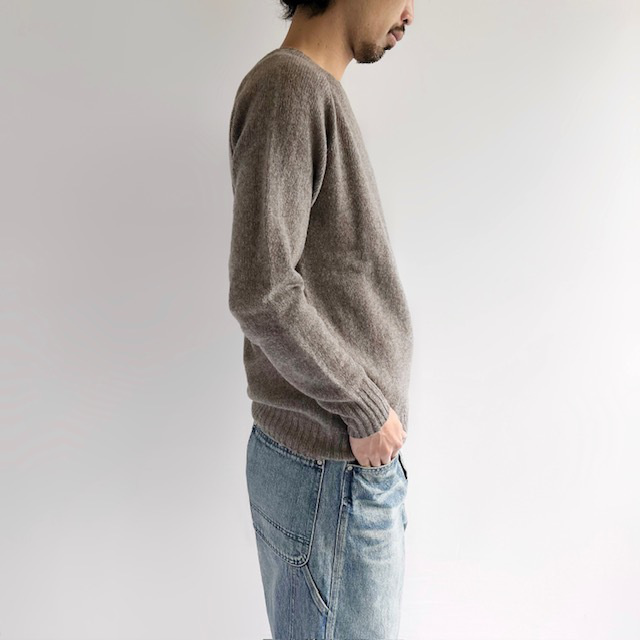 Modele Paticuliar ARMEN