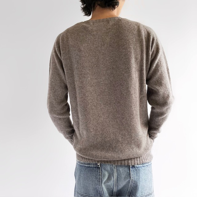 Modele Paticuliar ARMEN