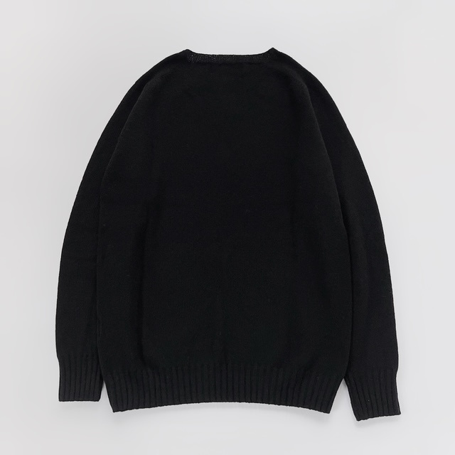 Modele Paticuliar ARMEN