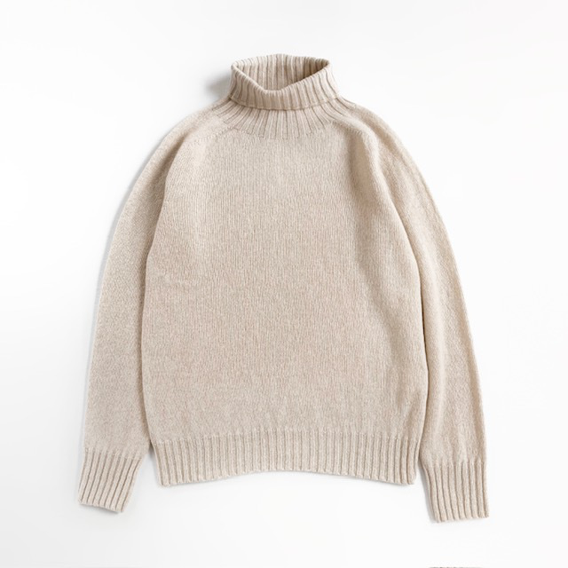 Modele Paticuliar ARMEN