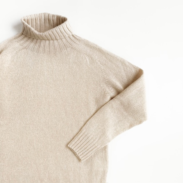 Modele Paticuliar ARMEN