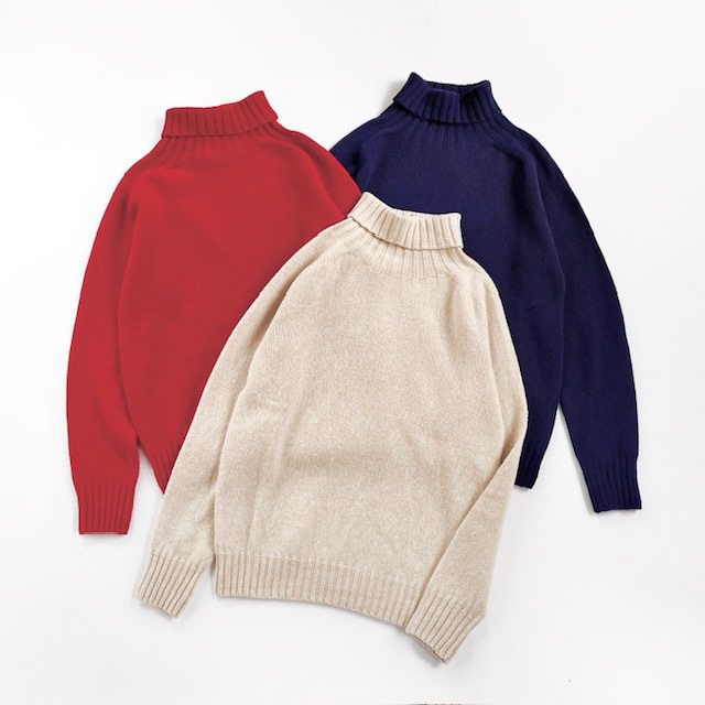 Modele Paticuliar ARMEN