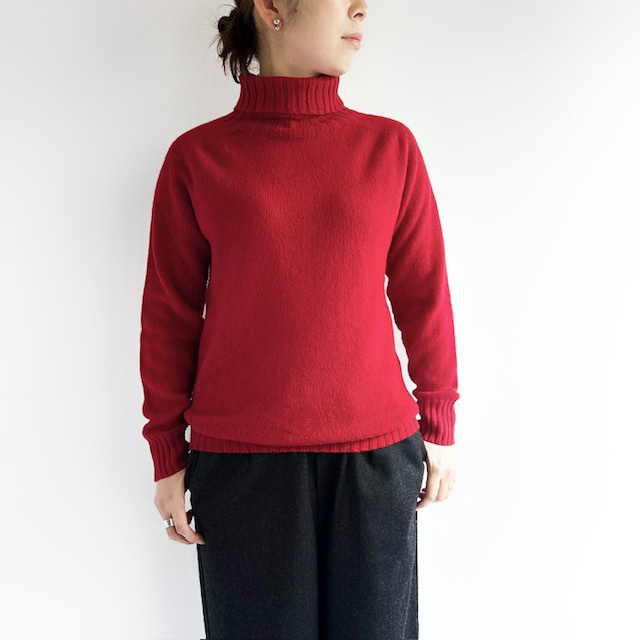 Modele Paticuliar ARMEN