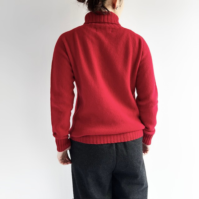 Modele Paticuliar ARMEN