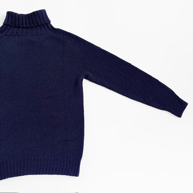 Modele Paticuliar ARMEN