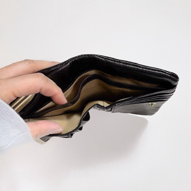 CLEDRAN NOM PURSE WALLET